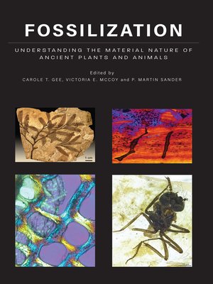 cover image of Fossilization